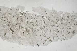 Plane Polarized, S53072