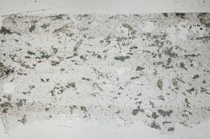 Plane Polarized, S53078