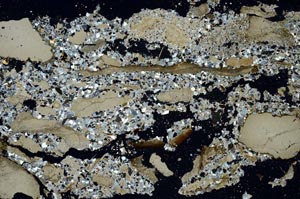 Cross Polarized, S53079