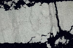 Cross Polarized, S53086