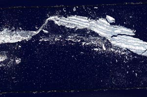 Cross Polarized, S53089/A