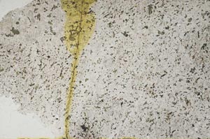 Plane Polarized, S53095