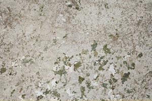 Plane Polarized, S53096