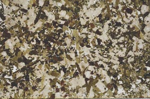 Plane Polarized, S53099