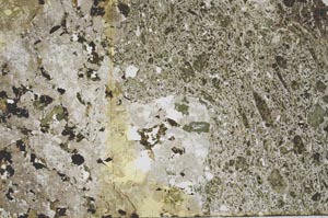 Plane Polarized, S53108