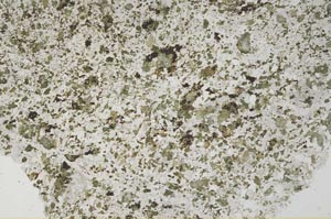 Plane Polarized, S53111