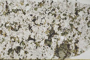 Plane Polarized, S53117