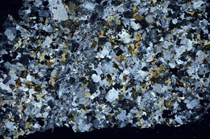 Cross Polarized, S53128