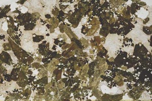 Plane Polarized, S53129