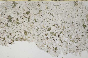 Plane Polarized, S53131