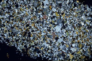 Cross Polarized, S53139