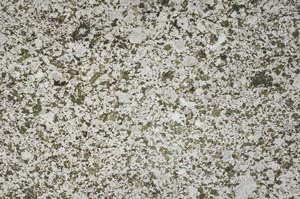 Plane Polarized, S53143