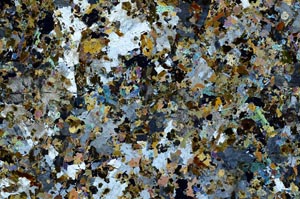 Cross Polarized, S53144
