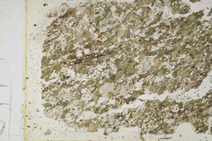 Plane Polarized, S53149