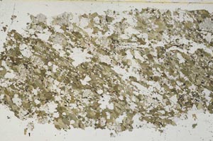 Plane Polarized, S53149/A