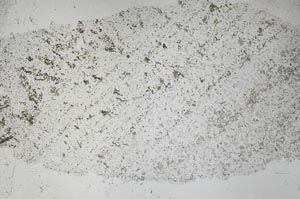 Plane Polarized, S53162