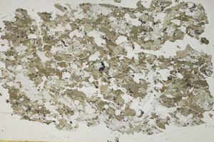Plane Polarized, S53165