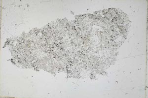 Plane Polarized, S53172