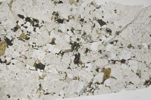 Plane Polarized, S53173
