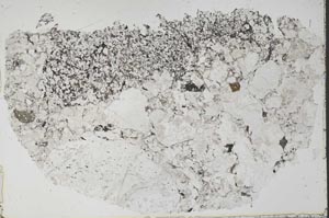 Plane Polarized, S53175