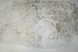 Plane Polarized, S53176