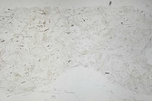 Plane Polarized, S53177