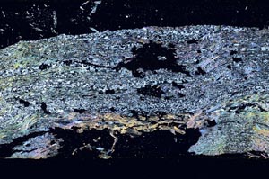 Cross Polarized, S53183
