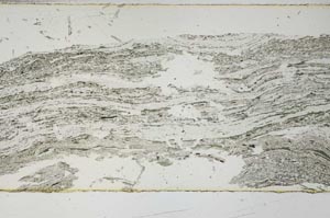 Plane Polarized, S53183