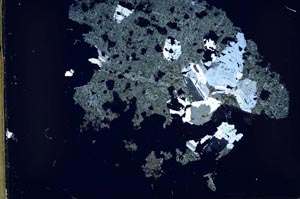 Cross Polarized, S53197