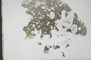 Plane Polarized, S53197