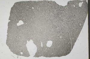 Plane Polarized, S53198