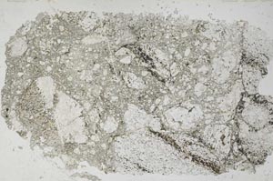 Plane Polarized, S53201/A