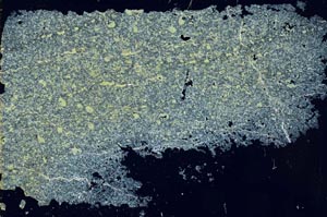 Cross Polarized, S53226