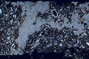 Cross Polarized, S53227