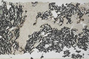 Plane Polarized, S53227