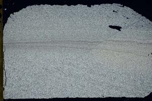 Cross Polarized, S53232