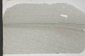 Plane Polarized, S53232