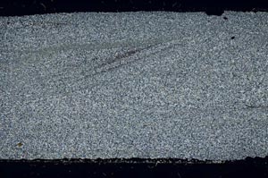Cross Polarized, S53233