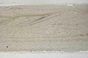 Plane Polarized, S53233