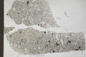 Plane Polarized, S53238