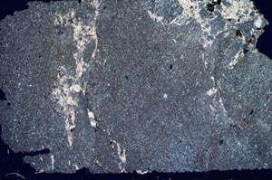 Cross Polarized, S53239