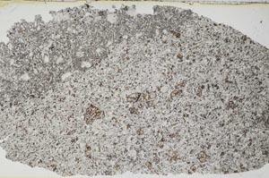 Plane Polarized, S53245
