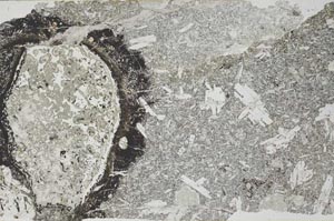Plane Polarized, S53246