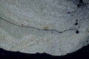 Cross Polarized, S53248
