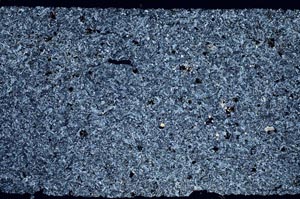 Cross Polarized, S53253