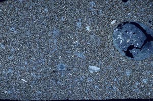 Cross Polarized, S53254