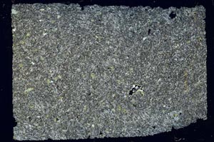 Cross Polarized, S53255