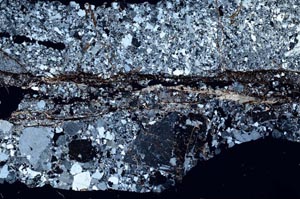 Cross Polarized, S53259
