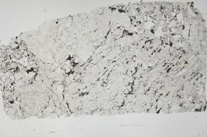 Plane Polarized, S53261