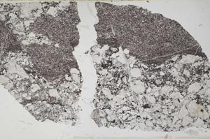Plane Polarized, S53262